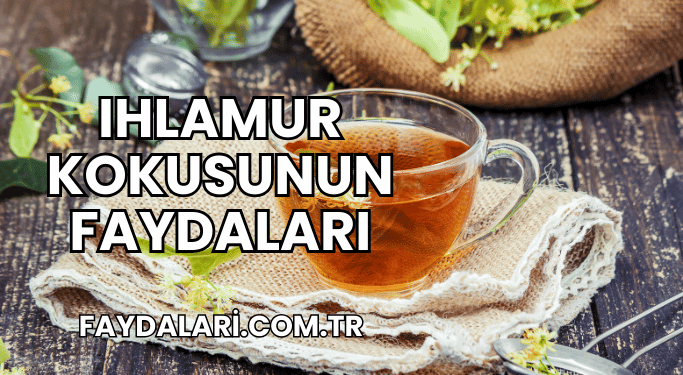 Ihlamur Kokusunun Faydaları