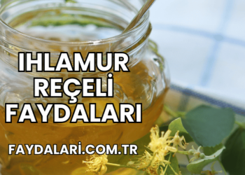Ihlamur Reçeli Faydaları