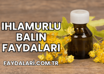 Ihlamurlu Balın Faydaları