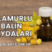 Ihlamurlu Balın Faydaları