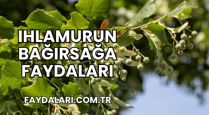 Ihlamurun Bağırsağa Faydaları