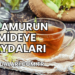 Ihlamurun Mideye Faydaları