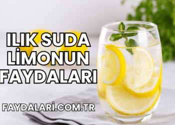 Ilık Suda Limonun Faydaları