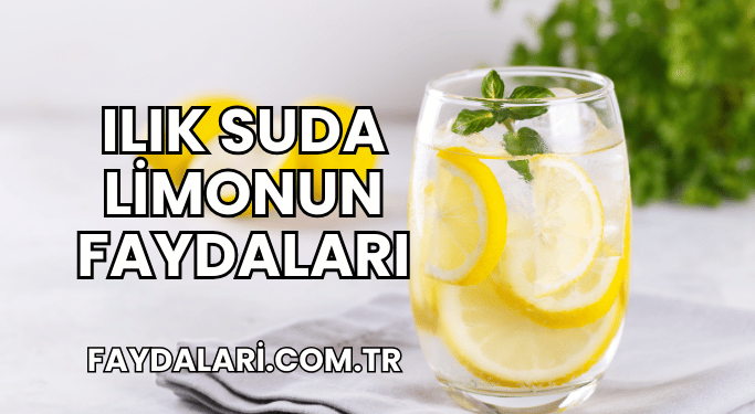 Ilık Suda Limonun Faydaları