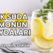 Ilık Suda Limonun Faydaları
