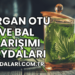 Isırgan Otu ve Bal Karışımı Faydaları