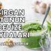 Isırgan Otunun Cevize Faydaları