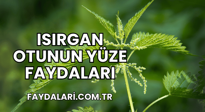 Isırgan Otunun Yüze Faydaları