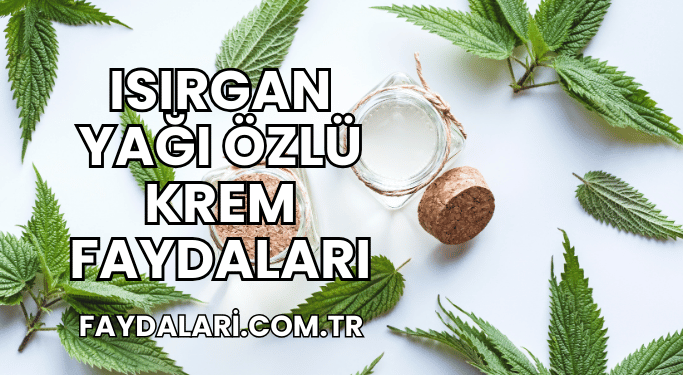 Isırgan Yağı Özlü Krem Faydaları