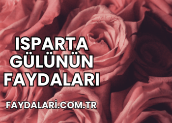 Isparta Gülünün Faydaları