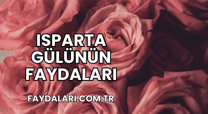 Isparta Gülünün Faydaları