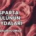 Isparta Gülünün Faydaları