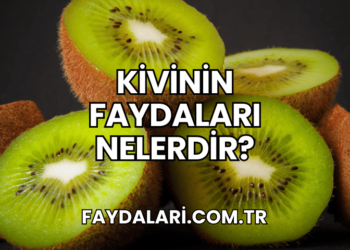 Kivinin Faydaları Nelerdir?