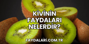 Kivinin Faydaları Nelerdir?