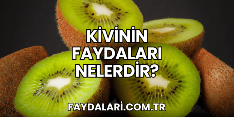 Kivinin Faydaları Nelerdir?