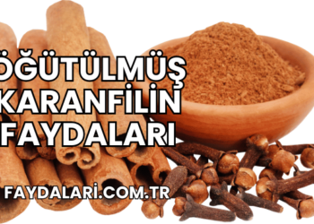 Öğütülmüş Karanfilin Faydaları