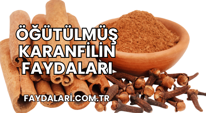 Öğütülmüş Karanfilin Faydaları