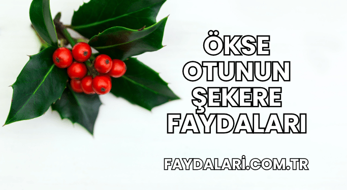 Ökse Otunun Şekere Faydaları