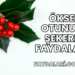 Ökse Otunun Şekere Faydaları