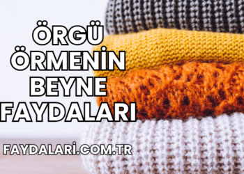 Örgü Örmenin Beyne Faydaları
