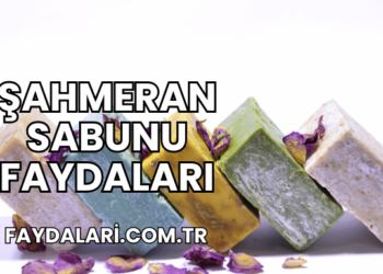 Şahmeran Sabunu Faydaları
