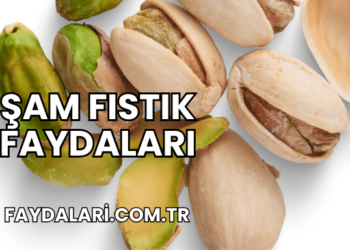 Şam Fıstık Faydaları