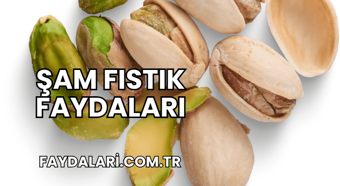 Şam Fıstık Faydaları