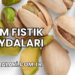Şam Fıstık Faydaları