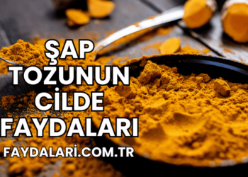 Şap Tozunun Cilde Faydaları
