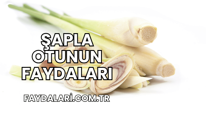 Şapla Otunun Faydaları
