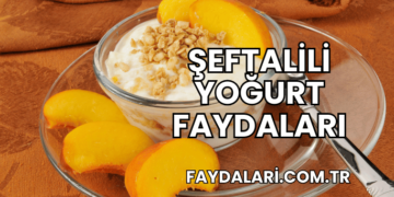 Şeftalili Yoğurt Faydaları