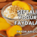 Şeftalili Yoğurt Faydaları
