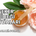 Şeker Çiçeği Faydaları
