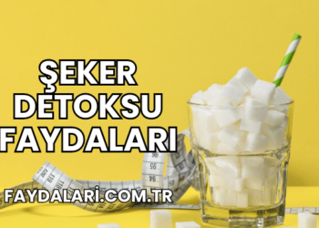 Şeker Detoksu Faydaları