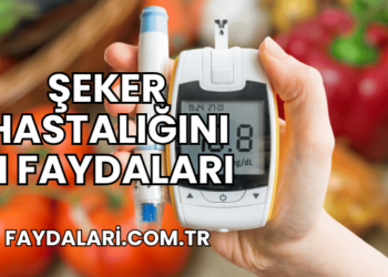 Şeker Hastalığının Faydaları