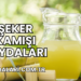 Şeker Kamışı Faydaları