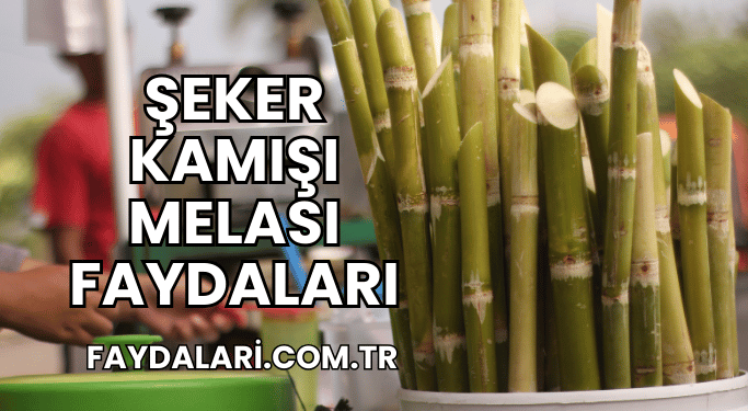 Şeker Kamışı Melası Faydaları