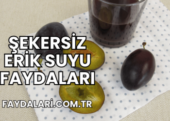 Şekersiz Erik Suyu Faydaları