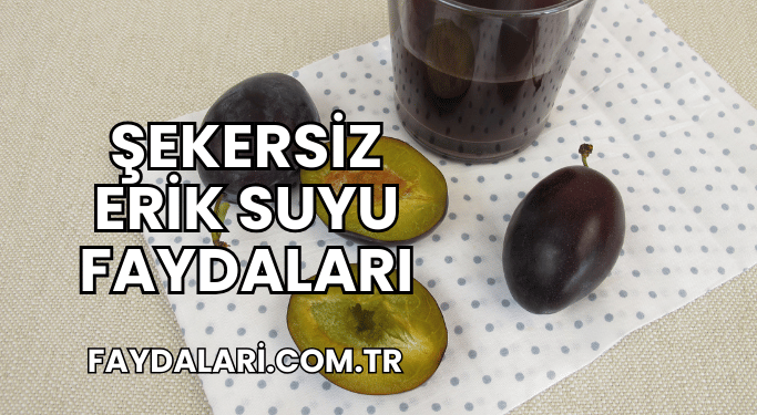 Şekersiz Erik Suyu Faydaları