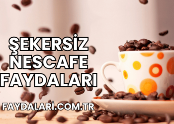 Şekersiz Nescafe Faydaları