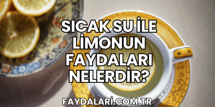 Sıcak Su ile Limonun Faydaları Nelerdir?