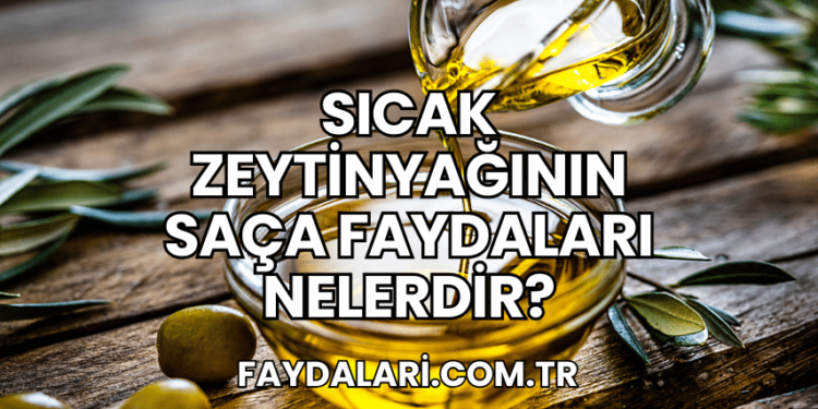 Sıcak Zeytinyağının Saça Faydaları Nelerdir