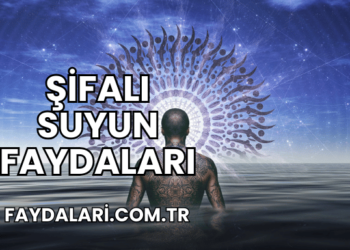 Şifalı Suyun Faydaları