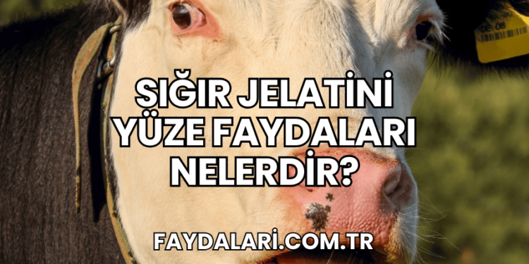 Sığır Jelatini Yüze Faydaları Nelerdir