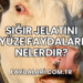 Sığır Jelatini Yüze Faydaları Nelerdir