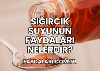 Sığırcık Suyunun Faydaları Nelerdir?