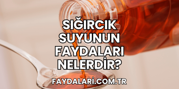 Sığırcık Suyunun Faydaları Nelerdir?
