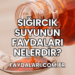 Sığırcık Suyunun Faydaları Nelerdir?