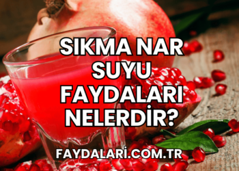 Sıkma Nar Suyu Faydaları Nelerdir?