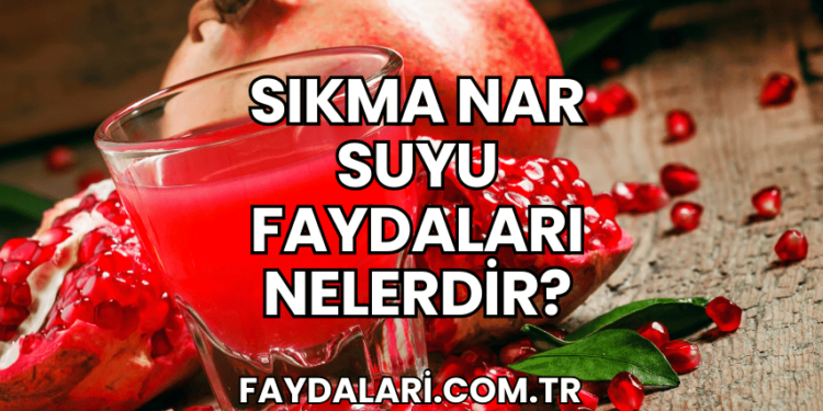 Sıkma Nar Suyu Faydaları Nelerdir?
